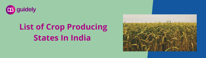 List Of Crops Grown In India 2024 PDF Major Crop Producing States