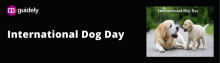 international dog day