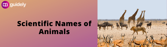 Scientific Names of Animals PDF: With Common Names