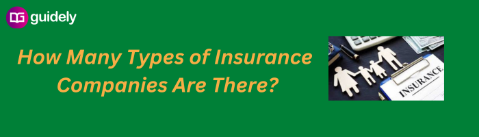 how-many-types-of-insurance-companies-are-there