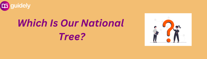 The Ultimate Guide To Americas National Tree - 2uwal53