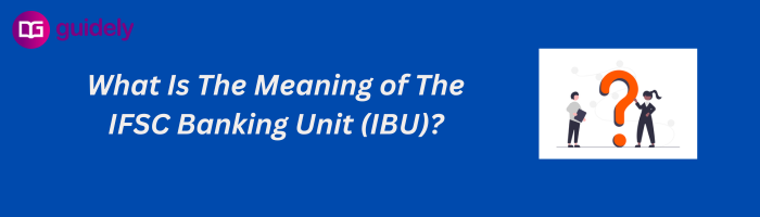 what-is-the-meaning-of-the-ifsc-banking-unit-ibu