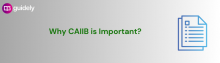 why caiib is important