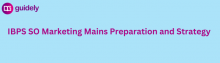ibps so marketing officer mains preparation