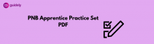 pnb apprentice practice set
