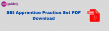 sbi apprentice practice set